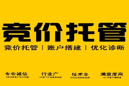 搜索引擎营销（SEM）的五大成功案例剖析